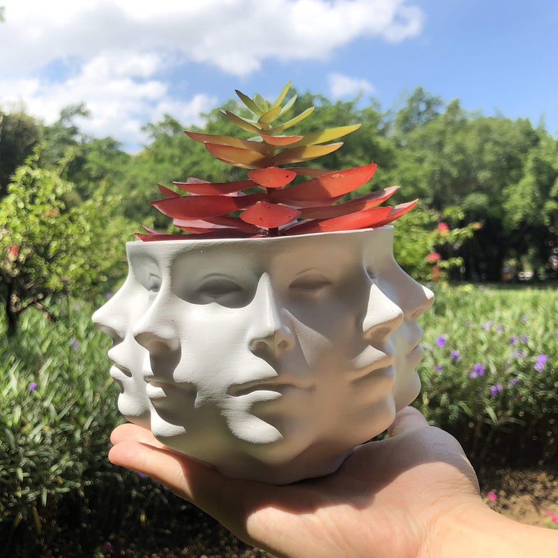 LuckyVin Multi-Face Succulent Planter Vase - Small Face Plant Head Home Decoration - Indoor Cactus Pot - Image 3